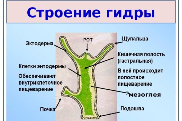 Кракен даркнет vk2 top